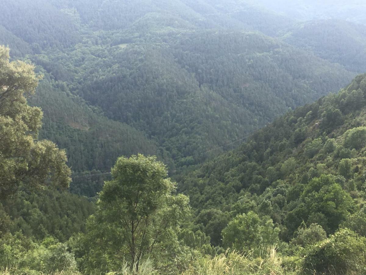 Appartamento Precioso Con Vistas Montana O Rio Ribes De Freser